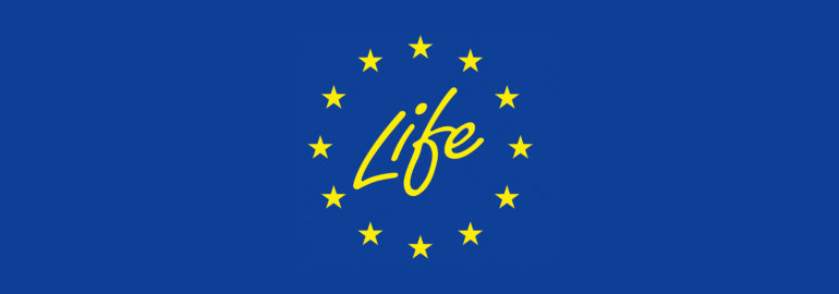 life subsidie
