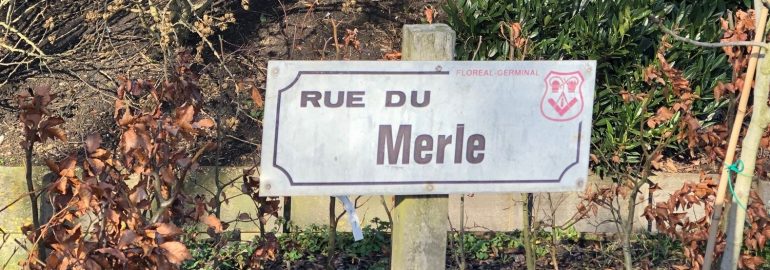 Merle de Kreuk ERC