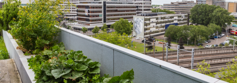Daktuin Rotterdam