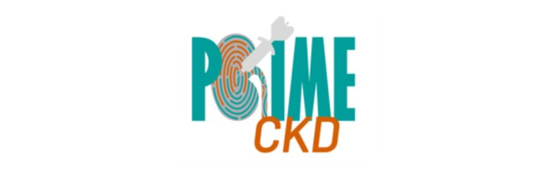Logo Horizon Europe PRIME CKD succesproject
